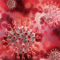 Nguyên nhân khiến cúm gia cầm gây bệnh nặng