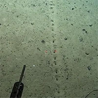 Những hàng lỗ bí ẩn dưới đáy Đại Tây Dương