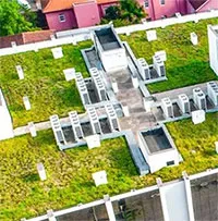 Những luật lệ độc đáo có "1-0-2" trên khắp thế giới, điều thứ hai chắc chắn khiến 90% đều phải bất ngờ
