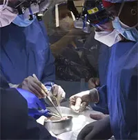 Câu hỏi lớn sau vụ ghép tim lợn đầu tiên cho người