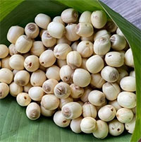 Lợi ích tuyệt vời từ hạt sen mà ai cũng phải bất ngờ