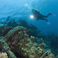 Siêu vi khuẩn gia tăng, giới khoa học chạy đua tìm thuốc mới ở 