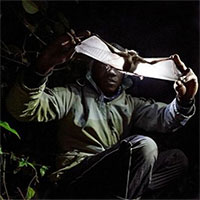 Virus từ động vật lây sang người tiến hóa như thế nào?