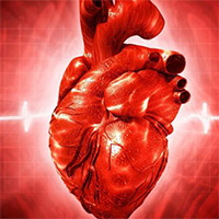 Phát hiện gene quan trọng trong chữa lành tổn thương tim