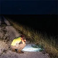 Vì sao dân Florida đổ xô săn trăn Miến Điện?