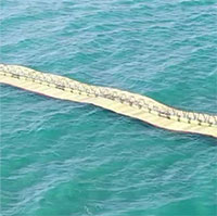 Thiết bị giống cột sống giúp sản xuất điện sóng