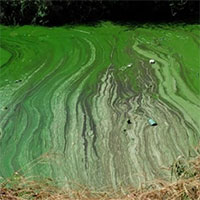 Trung Quốc dùng thuyền 