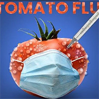 Dịch cúm mới nổi tại Ấn Độ nguy hiểm thế nào?