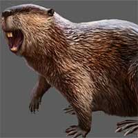 Hải ly bán thủy sinh đã sống ở Montana 30 triệu năm trước