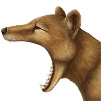 Có nên hồi sinh động vật đã tuyệt chủng?