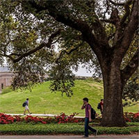 Phát hiện ngọn đồi trong trường đại học là giả, chứa xương cốt