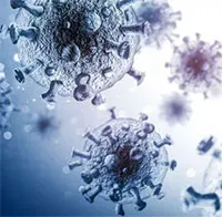 Tìm ra loại siêu kháng thể có thể vô hiệu hóa HIV