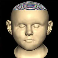 Phân tích ADN hé lộ 17 nạn nhân vụ thảm sát dưới đáy giếng thời Trung Cổ ở Anh