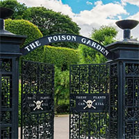 Poison Garden - Khu vườn chết chóc nhất thế giới