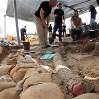 Phát hiện ngà voi 500.000 năm tuổi nặng 150kg ở Israel