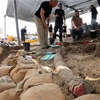 Phát hiện ngà voi 500.000 năm tuổi nặng 150kg ở Israel