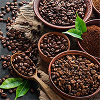 Hai loại đồ uống khiến bạn dễ bị muỗi đốt hơn