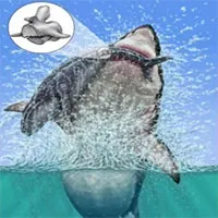 Tìm thấy hóa thạch cá voi bị quái vật megalodon ngoạm gãy lưng