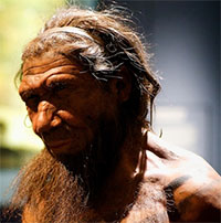 Vì sao loài siêu nhân não to hơn chúng ta bị Trái đất loại bỏ?