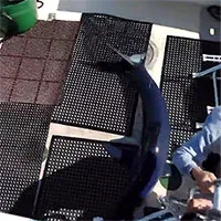 Cá mập mako nhảy lên thuyền khiến ngư dân choáng váng