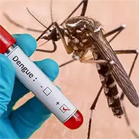 Hà Nội ghi nhận thêm chủng virus sốt xuất huyết mới