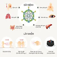 Adenovirus lây nhiễm cho trẻ nhỏ như thế nào?