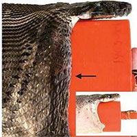 Trăn nuốt chửng cá sấu bằng cách nào?