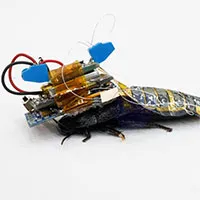 Nhật Bản phát minh gián lai robot cứu hộ động đất