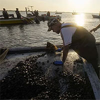 Biến đổi khí hậu càng nghiêm trọng, những loại thực phẩm này sẽ càng đắt đỏ hơn