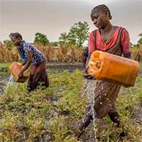 Thảm cảnh ở quốc gia nhiều tháng không có lấy một giọt mưa, các nữ sinh chỉ ước có một bữa no