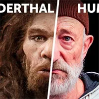 Tại sao người Neanderthal lại thất bại trong cuộc chiến sinh tồn?