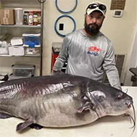 Bắt được cá da trơn quái vật tại Mỹ