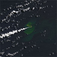 Hòn đảo mới mọc lên ở Thái Bình Dương khi núi lửa ngầm phun trào