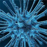 Một virus khỉ khác đang sẵn sàng lây sang người