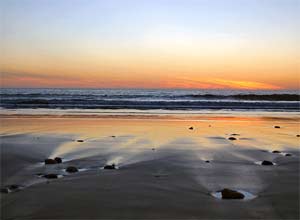 Tại sao biển có mùi dễ chịu?