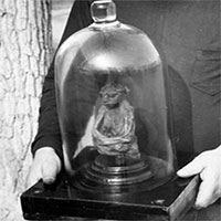 Người khổng lồ và người tí hon có tồn tại không? 4 dấu tích chưa có lời giải!