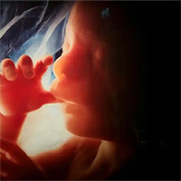 Phát hiện hạt độc hại trong não và phổi thai nhi