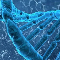 Ứng dụng của ADN trong cuộc sống thường ngày có thể nhiều người chưa biết