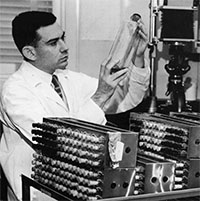 Giới hạn Hayflick: Tại sao con người chỉ có thể sống tới 125 năm?