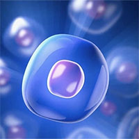 Nhóm nhà nghiên cứu Trung Quốc tuyên bố tìm ra thuốc kéo dài tuổi thọ