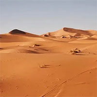 Công nghệ biến cát sa mạc cằn cỗi thành đất màu mỡ chỉ trong 7 tiếng