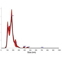 Đã tìm được cách chống lão hóa, con người có thể sống vài trăm tuổi?