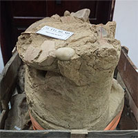 Phát hiện mộ chum nghìn năm trong lòng hồ thủy lợi ở Quảng Ngãi