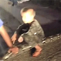 Video: Trăn "khủng" xuất hiện trên đường sau trận mưa lũ