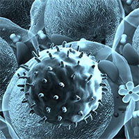 Sông băng vĩnh cửu Tây Tạng tan chảy, lộ ra virus cổ đại 15.000 năm tuổi chưa từng được biết đến