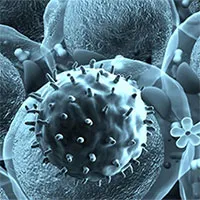 Sông băng vĩnh cửu Tây Tạng tan chảy, lộ ra virus cổ đại 15.000 năm tuổi chưa từng được biết đến