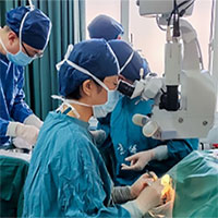 Trung Quốc cấy ghép thành công nội tạng lợn trên khỉ