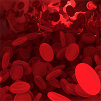 Một giọt máu có những thành phần gì?