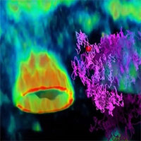 Khoảnh khắc virus di chuyển trước khi tấn công tế bào