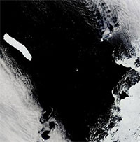 Tảng băng trôi lớn nhất thế giới đang bị cuốn trôi khỏi Nam Cực và có nguy cơ tan chảy hoàn toàn